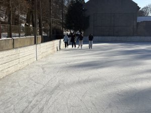 Bruslení